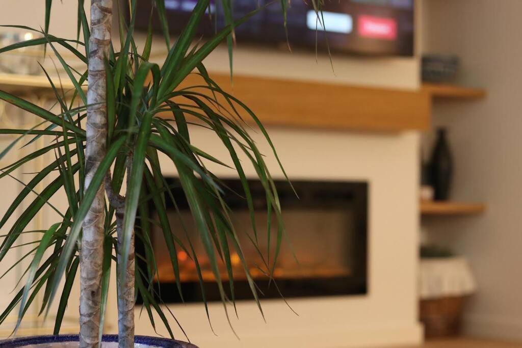 Lc Apartaments Voramar Benicàssim Exteriör bild