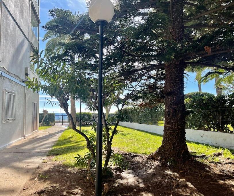 Lc Apartaments Voramar Benicàssim Exteriör bild