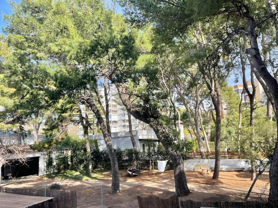 Lc Apartaments Voramar Benicàssim Exteriör bild